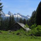 Aelpli, Toggenburg