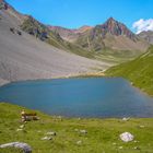 Älplisee, Schweiz