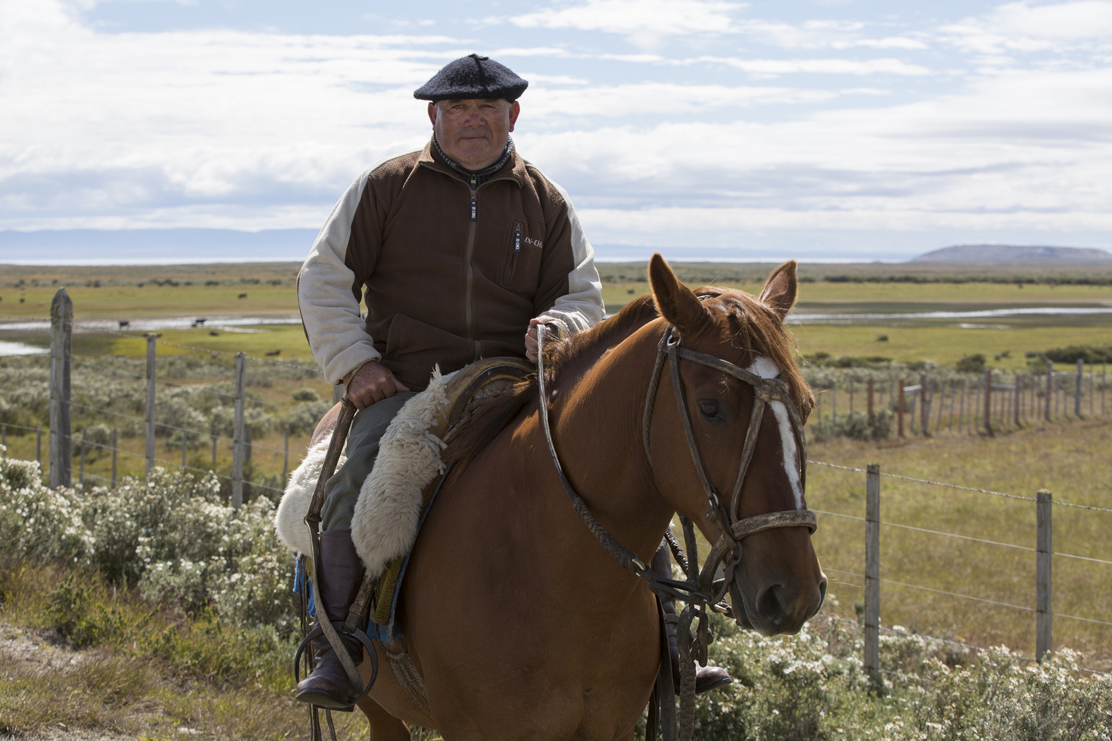 älterer Gaucho