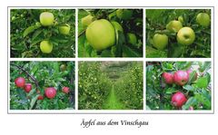 Äpfel aus dem Vinschgau