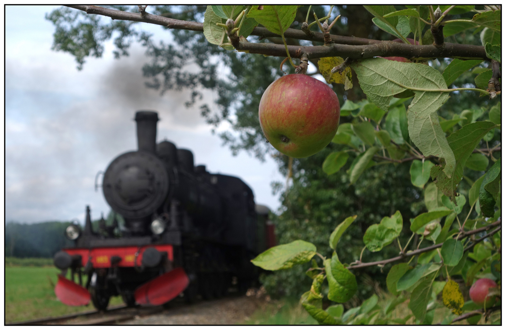 Äpfel aus Skåne 