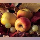 Äpfel im Herbst 