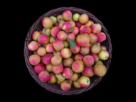 Äpfel im Korb