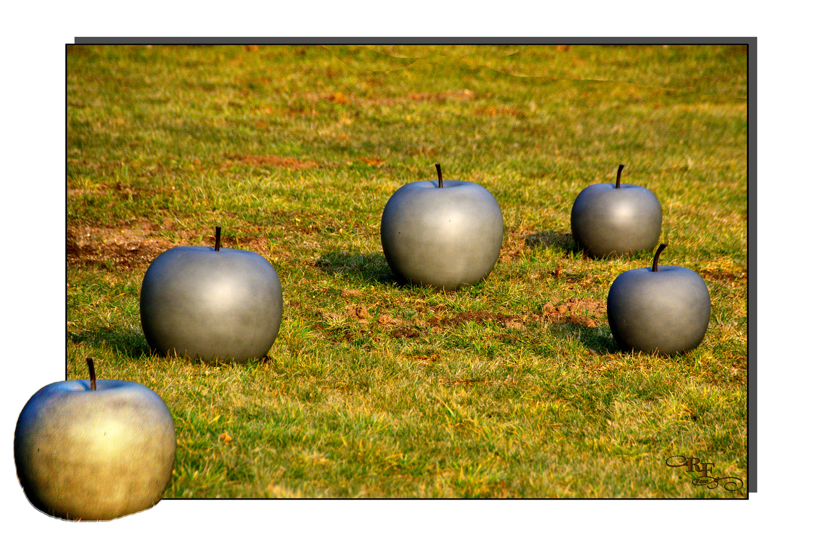 Äpfel in einem Garten in Bad Schmiedeberg