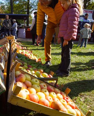Äpfel mit Birnen vergleichen