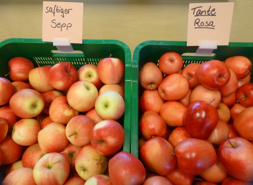 Äpfel mit schönen Namen geerntet.