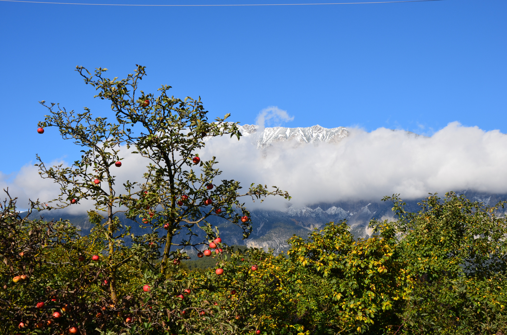 Äpfel und Berge