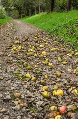 Äpfel und Birnen