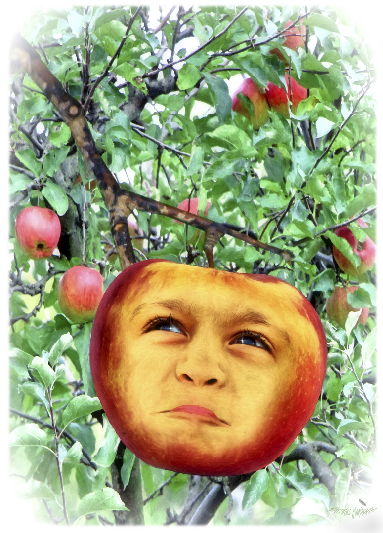 Äppelbert