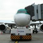 Aer Lingus Airbus A320-214