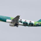 Aer Lingus Airbus A320 EI-DEI 