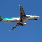 Aer Lingus