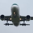 Aer Lingus im Anflug