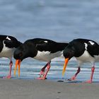 Ärger am Strand