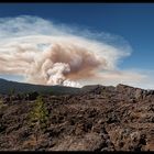 Aerial firefighting