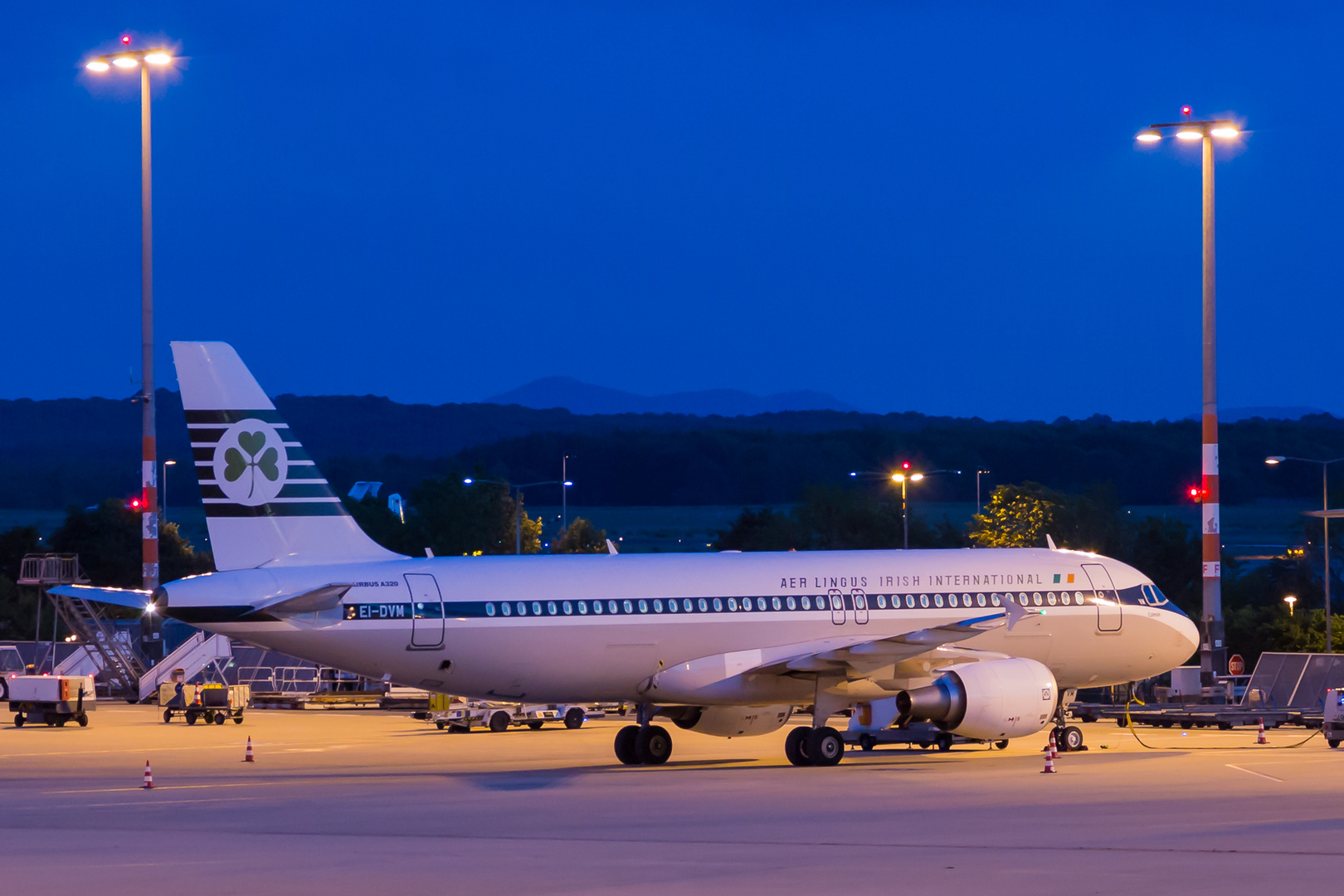 AerLingus Retrojet