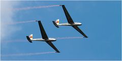 AERO '10 - Synchrongliders