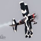 Aerobatic Cow