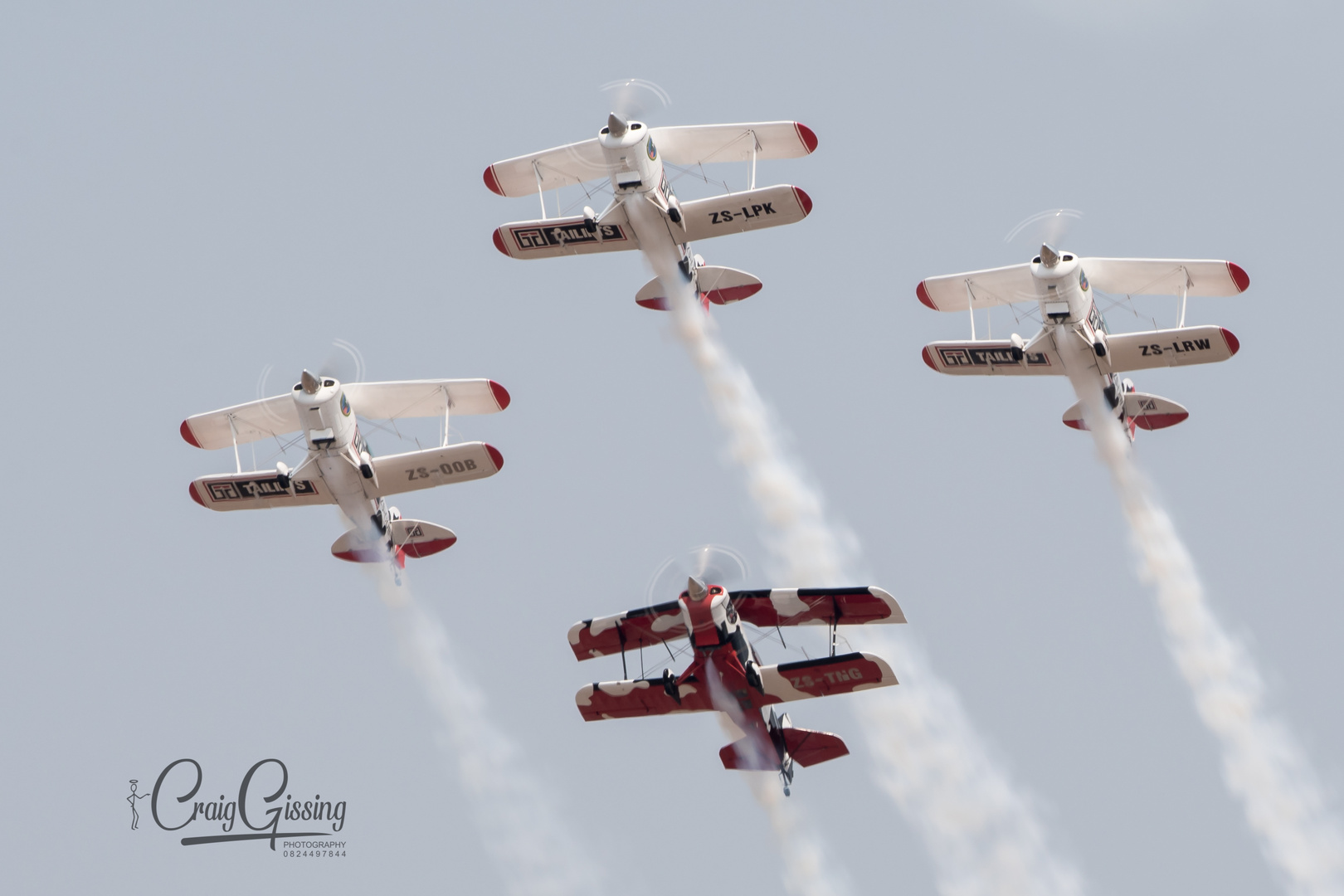 Aerobatics - Flying Cows