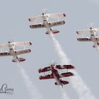 Aerobatics - Flying Cows