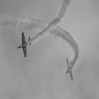 . aerobatics (iv) .