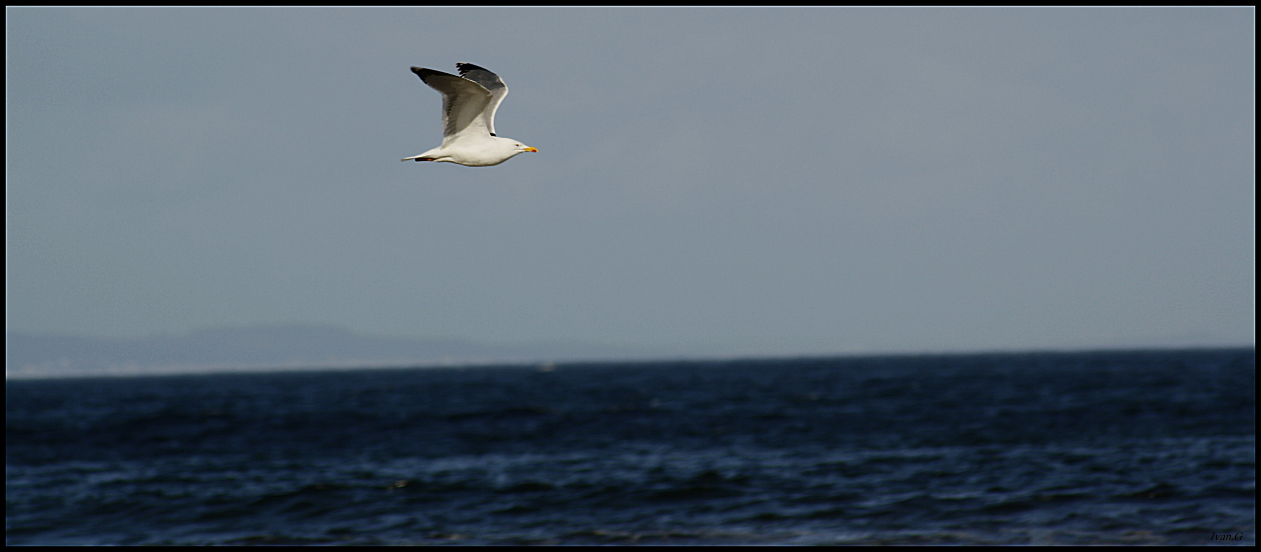 Aerodinamica natural