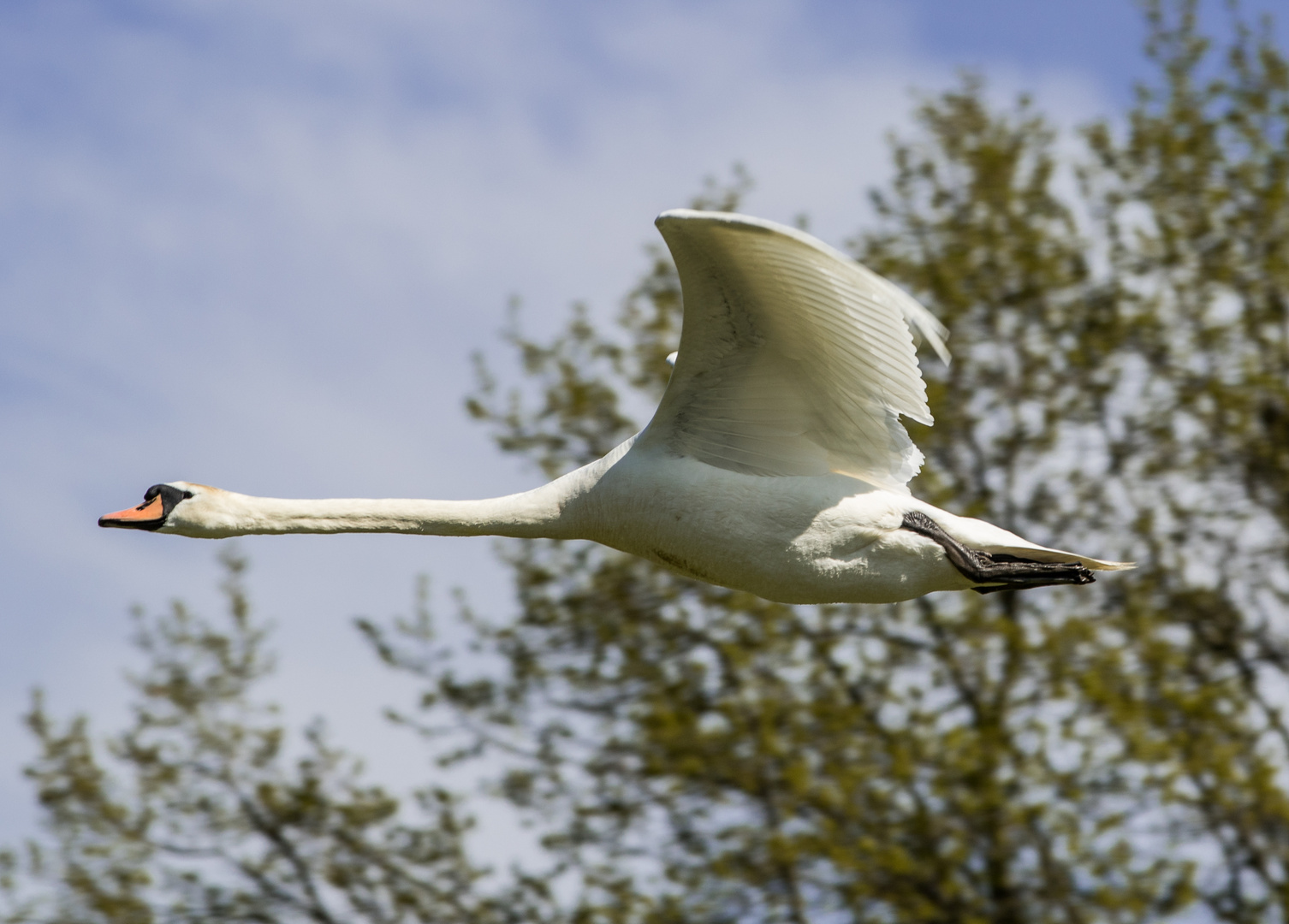 ....aerodynamisch perfekt!