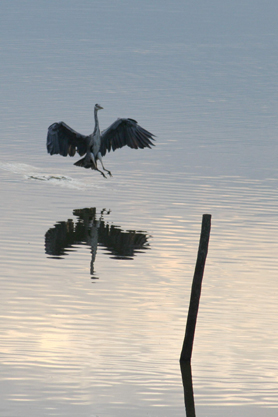 Aerofreinage de Eric en Provence 