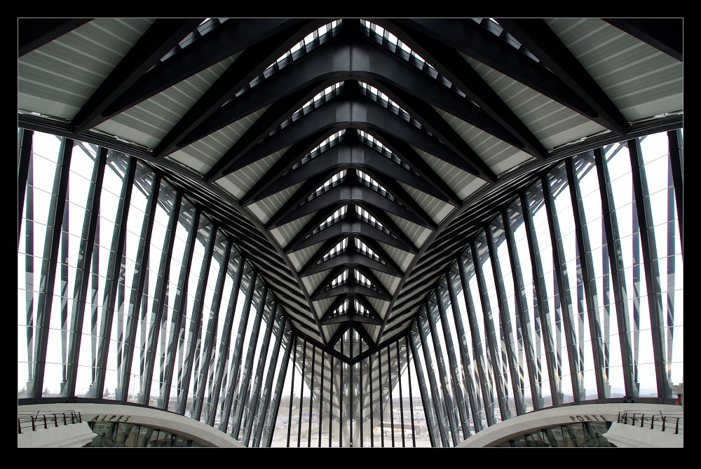 AeroGare Lyon Saint Exupéry (i)