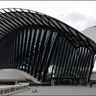 AeroGare Lyon Saint Exupéry (II)