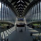 AeroGare Lyon Saint Exupéry (V)