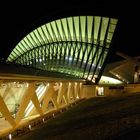 Aéroport de St EXUPERY - LYON - FRANCE I