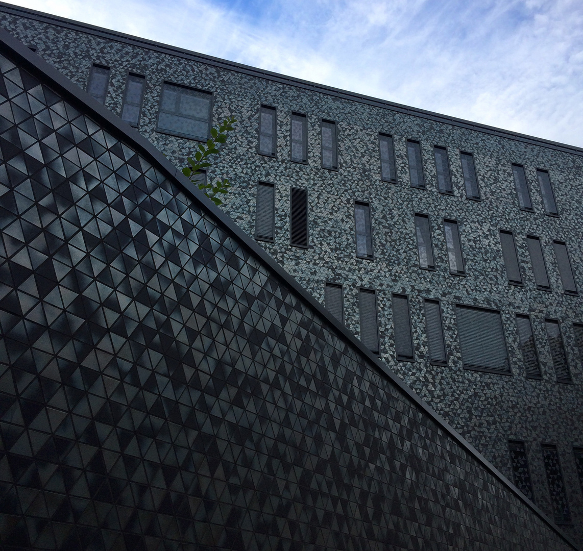 Ärztehaus am Rathaus Bonn Beuel / Auf keinen grünen Zweig kommen