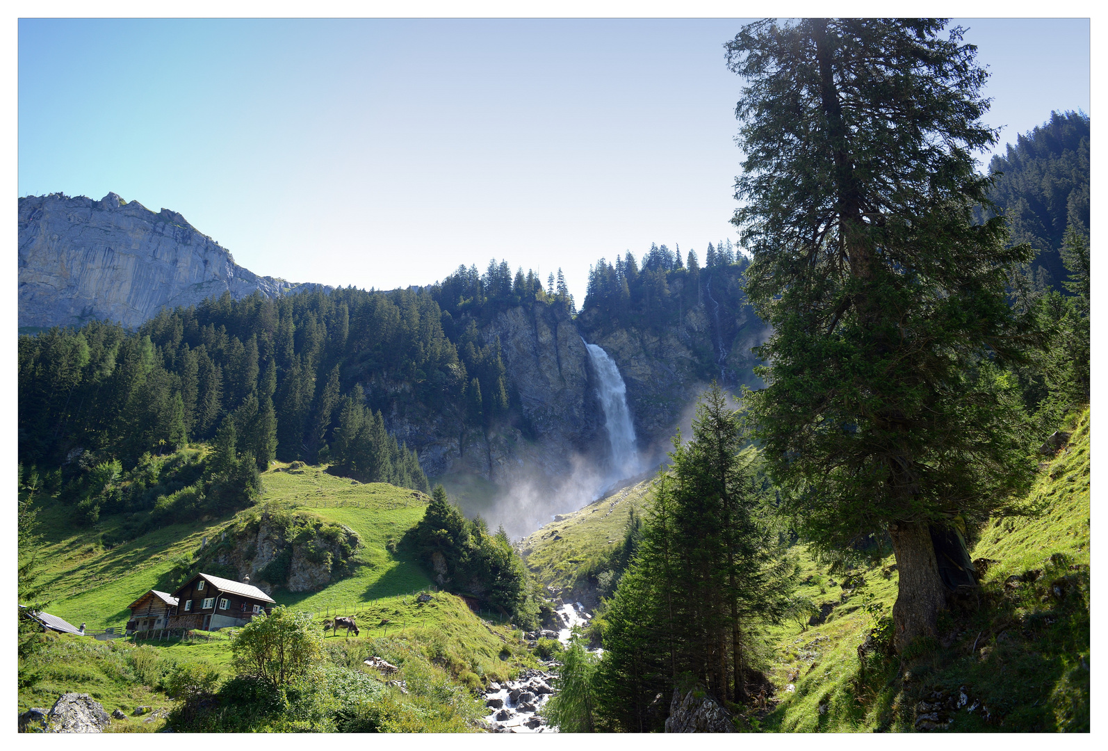 Äsch mit Stäubifall