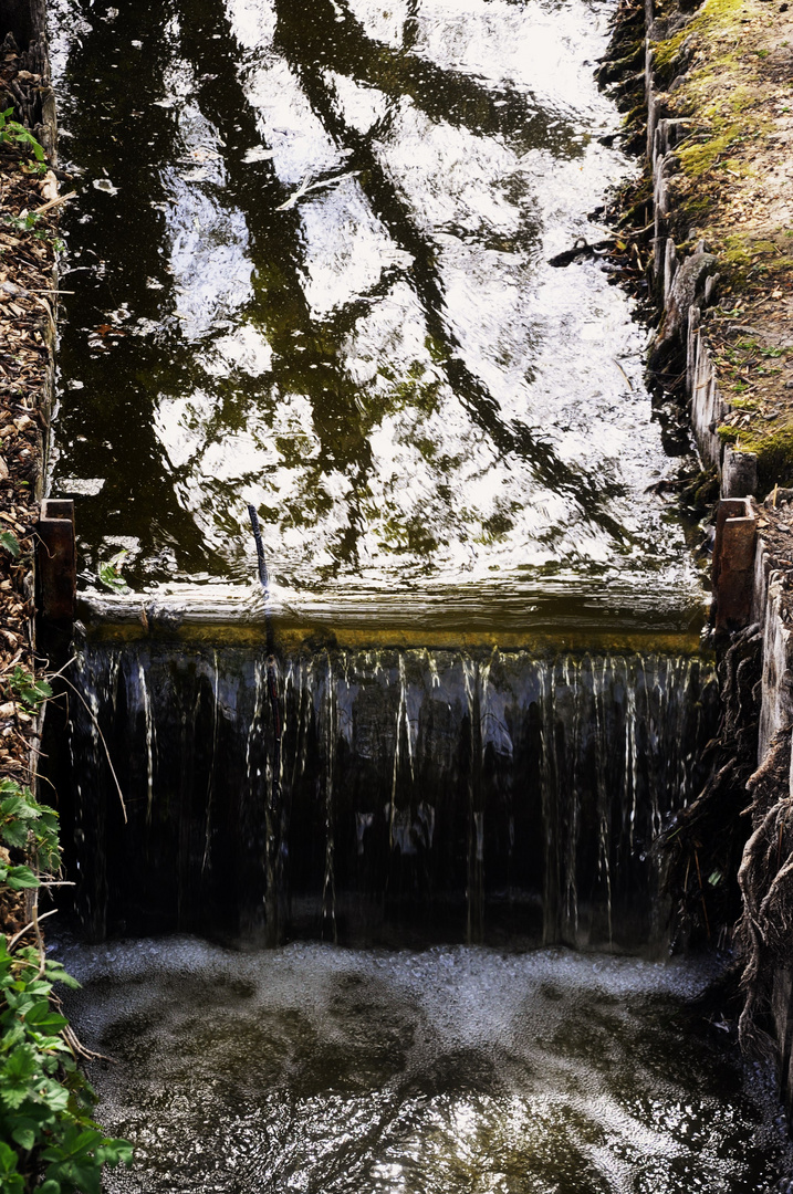 Äste die sich im Wasser spiegeln