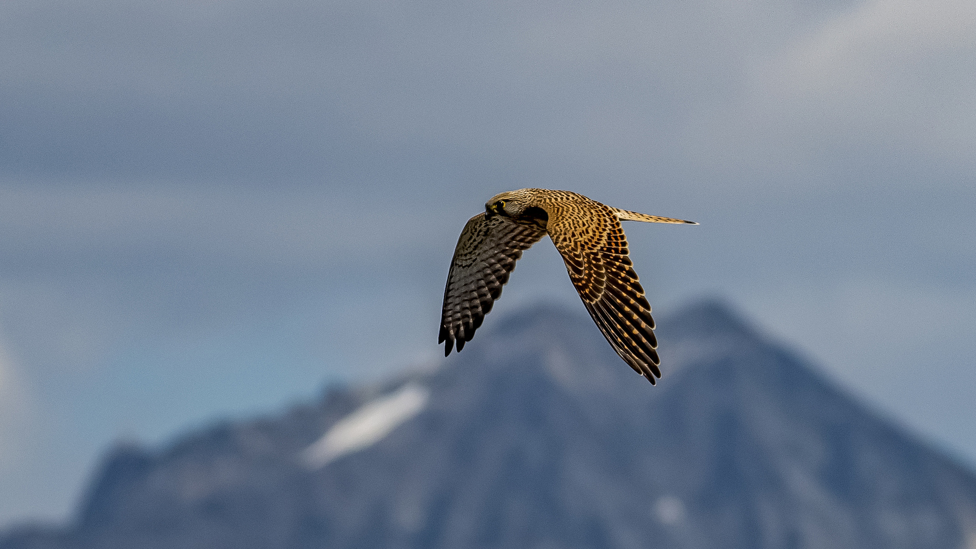Ästhetik Foto & Bild europe, italy, vatican city, s marino, italy