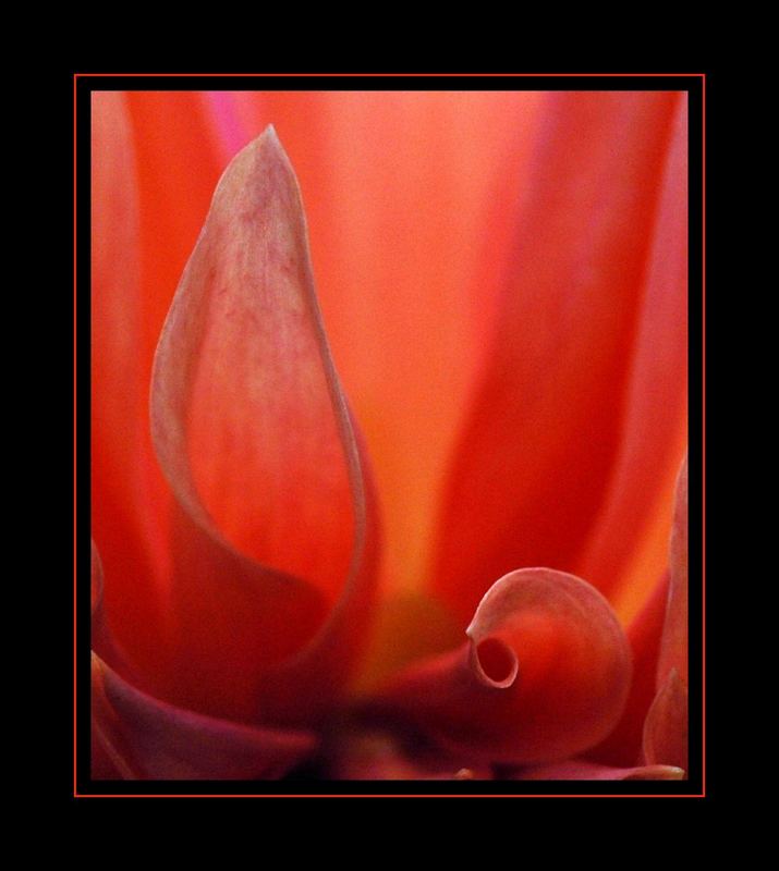 sthetik Foto Bild natur makros natur kreativ sthetik Foto Bild natur makros natur kreativ