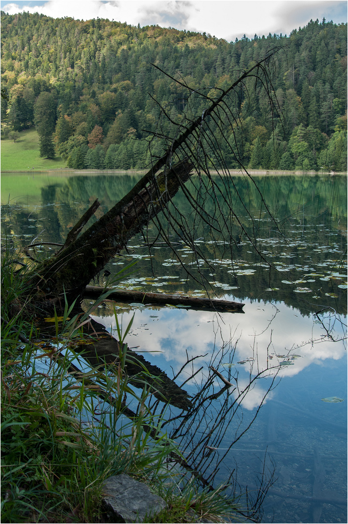 Ästhetik der Vergänglichkeit 