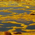 Äthiopien - Dallol (2)