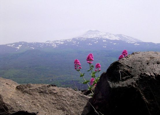 Ätna-Landschaften 1