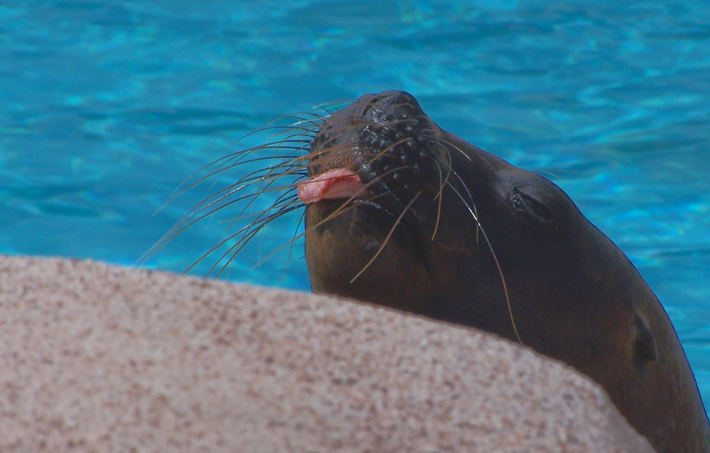 ...ätsch, das ist mein Pool....