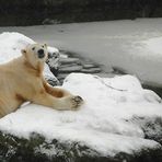 Ätsch, nun schneit es doch:-)