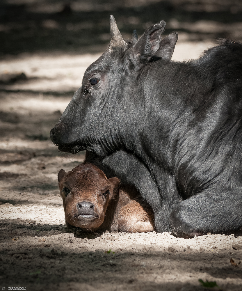 ätsch...meine Mama !!!