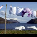 Äussere Hebriden / Nordschottland / Impression 001