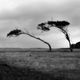 abandoned Maria Island