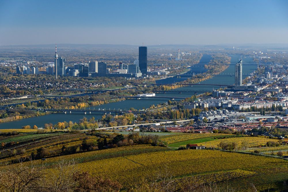 Wien / Vienna von Martin Landler