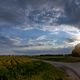 Sunset over Limburgerhof