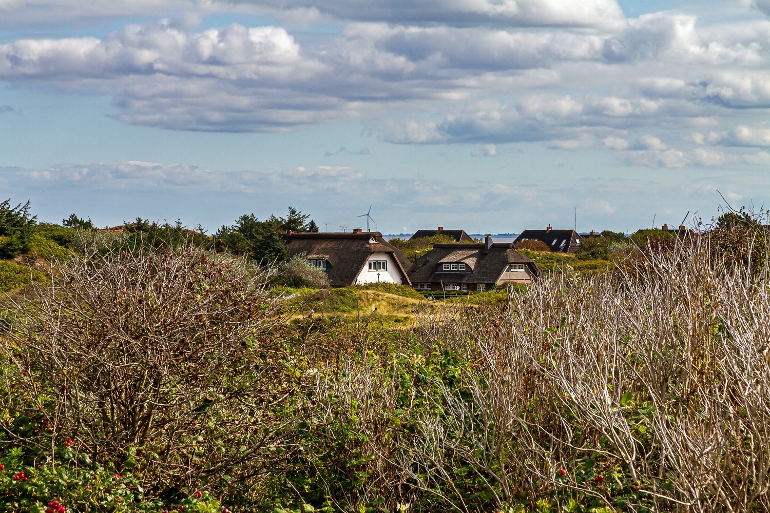 AFC2364Langeoog