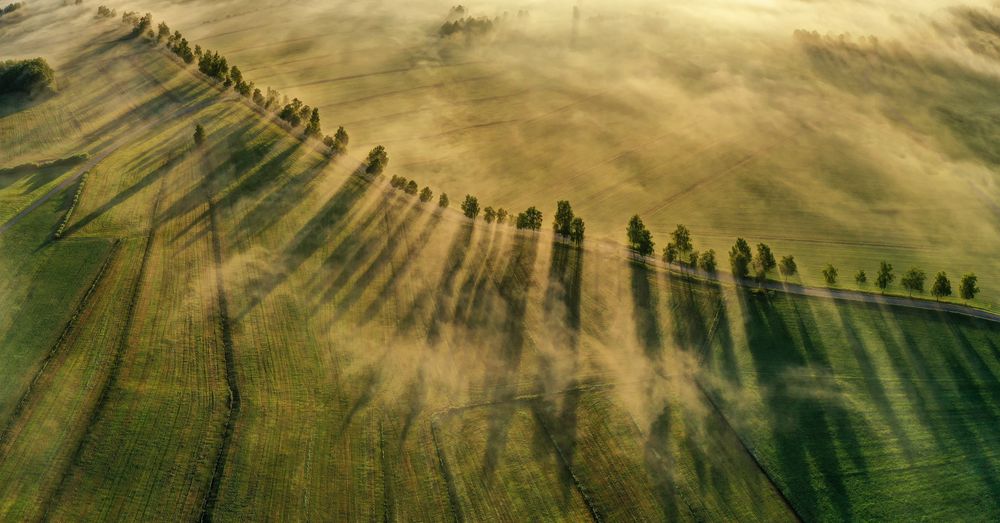 Sonnenaufgang im Pfrunger Ried von Rolf Gleichauf