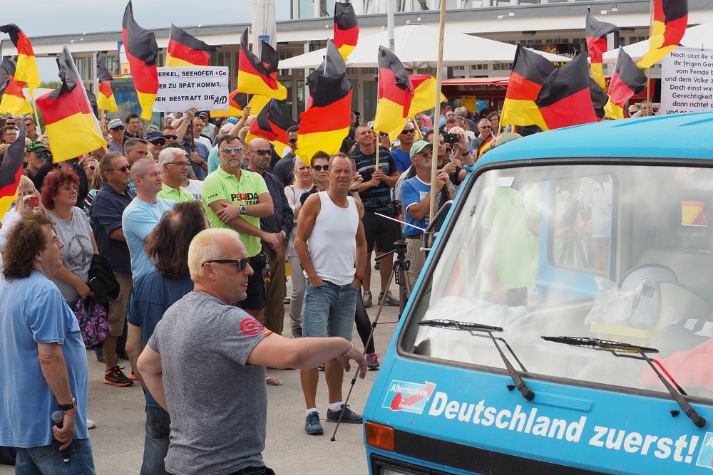 AFD Kundgebung und Gegendemo in Warnemünde (5)